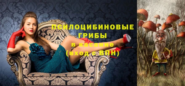 твердый Белокуриха