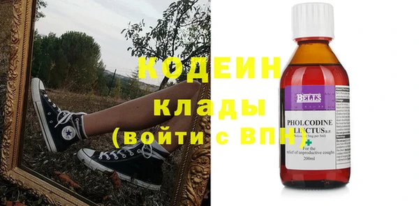 шишки Осинники