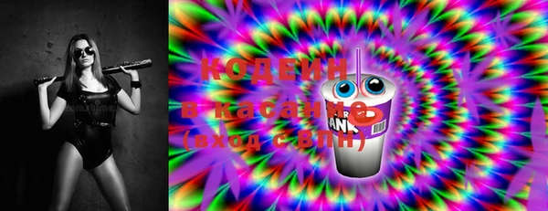шишки Осинники