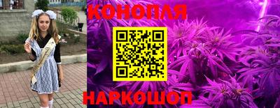 прущие грибы Кандалакша