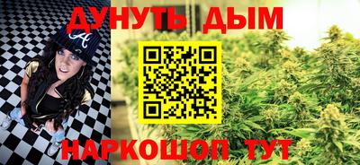 прущие грибы Кандалакша