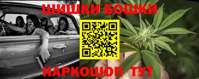 прущие грибы Кандалакша