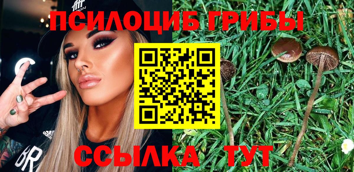 Галлюциногенные грибы Psilocybine cubensis  Вход с VPN  Томск 