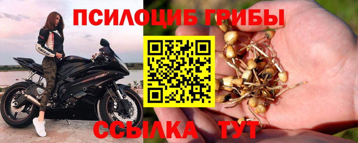 Псилоцибиновые грибы мухоморы Томск