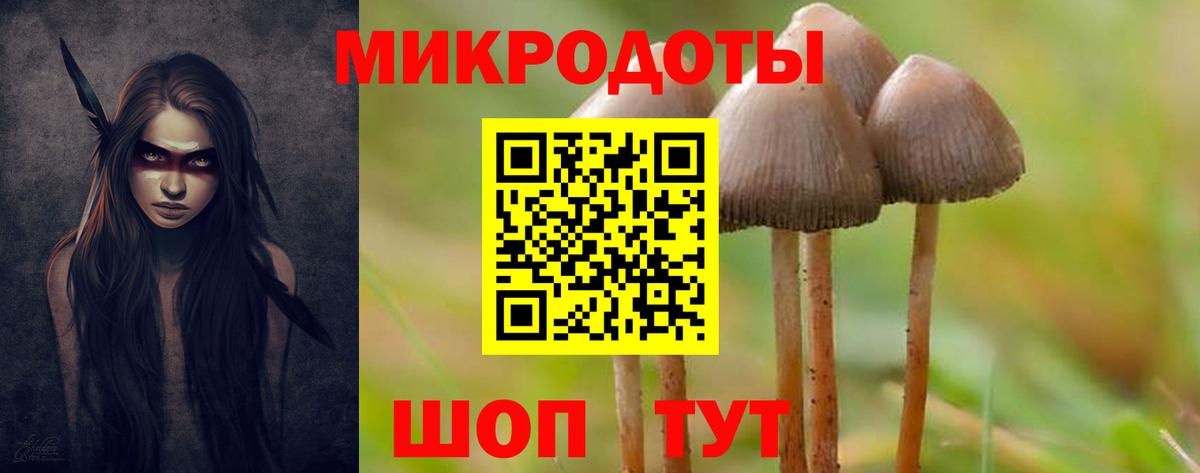 Галлюциногенные грибы Magic Shrooms Томск
